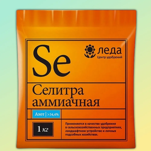 ���� ��������� ��������� �������, 1 ��, ������ �� 202 ���