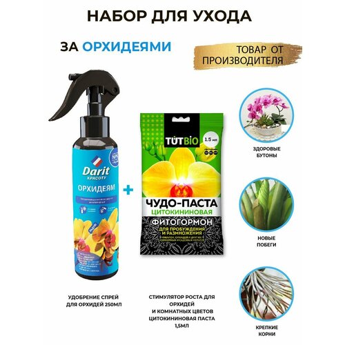 ���� ����� ��������� ���� �� ���������, ������ �� 390 ���