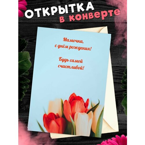 ���� �������� �6 � �������� � ���� ��������, ����!, ������ �� 268 ���