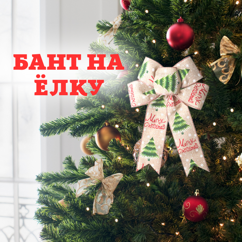 ���� ���� ��������� ��� ����, ����������� �����, ���������, �������, ������ �� 299 ���