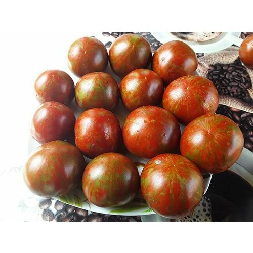 ���� ������������� ������ ������ ���� �����������, ������ �� 127 ���