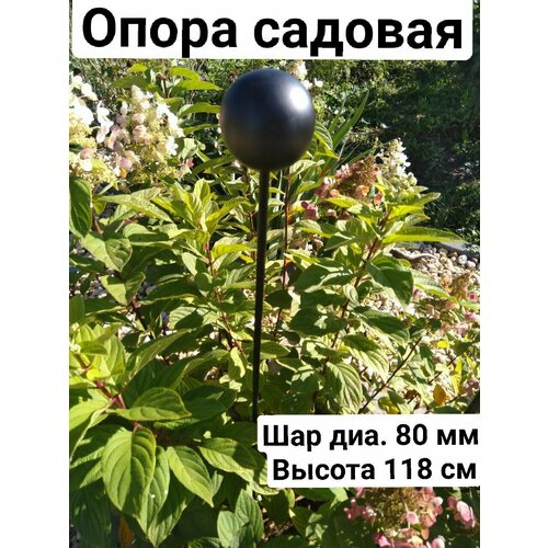 ���� ������� ��� �������� ��� ������� ��� ��������� ����� ��� ������ ������������� ������ 118 ��, ������ �� 1257 ���