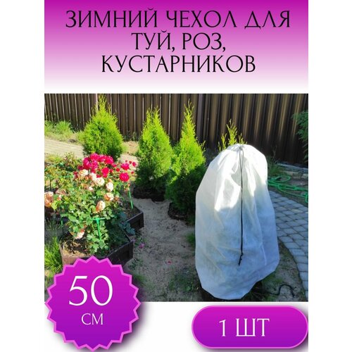 ���� ������ ����� �� �������� ��� ��� � �������������, ��� ���, ��� ������ � �������� ������ 50*80 ��, 1 ��., ������ �� 370 ���