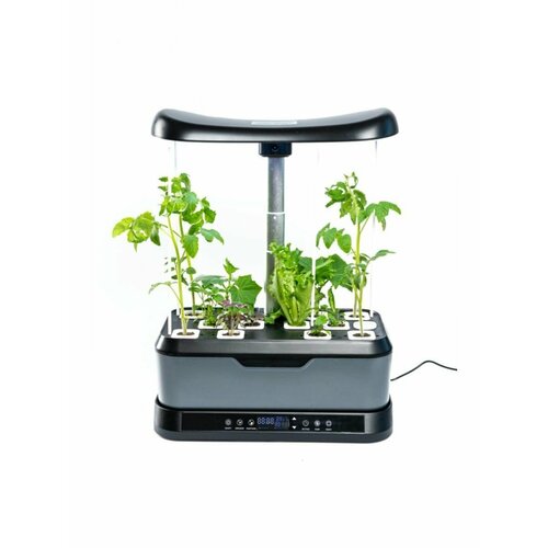 ���� ����� ��� / ������������� ����� / ����������� �������, ������ �� 11899 ���