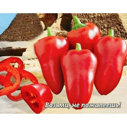 ���� ������������� ������ ����� �������� ���������� ����, ������ �� 127 ���