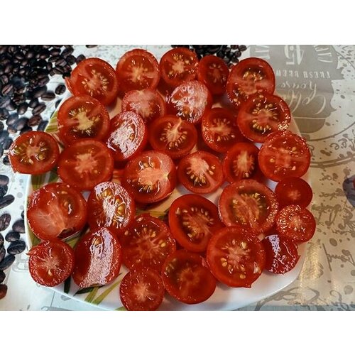 ���� ������������� ������ ������ ���������, ������ �� 104 ���