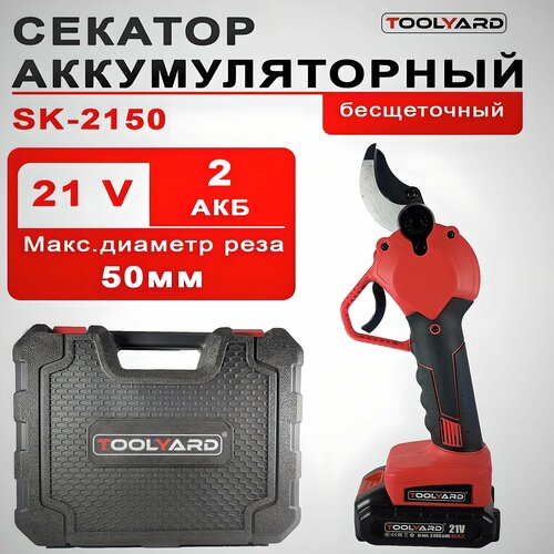     .  -  50 . TOOLYARD SK-2150, 2 li-ion , 21 V, .  .   -     , -, 