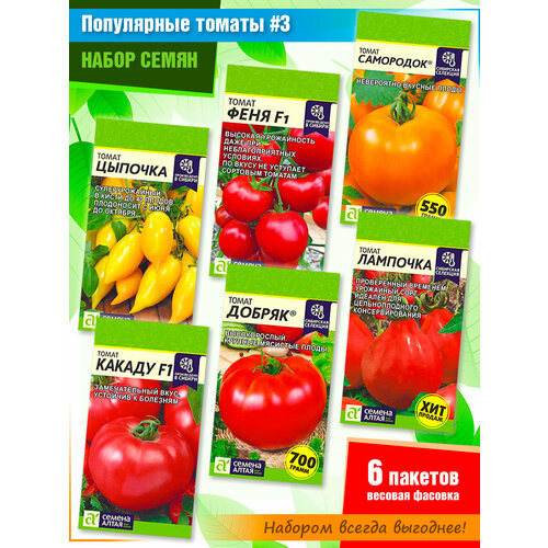 ���� ����� ����� �������: �������, ���� f1, ���������, ������ f1, ������, �������� �� �������� ������ ����� (6 �����), ������ �� 487 ���