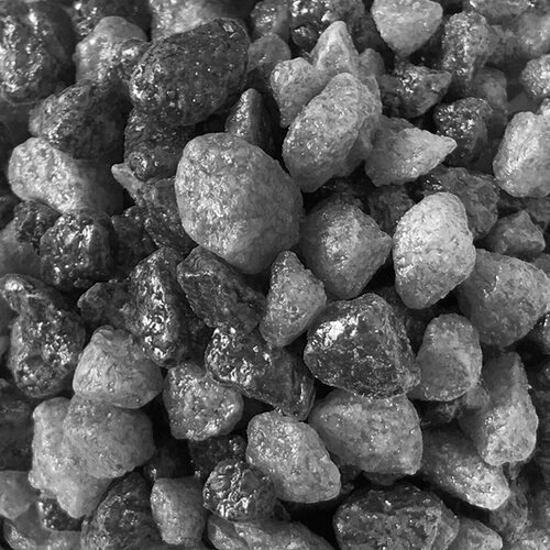 ���� ����������� ����� ��� ��������, ����������� � ��������, Zoo One, ��������� ��������, 