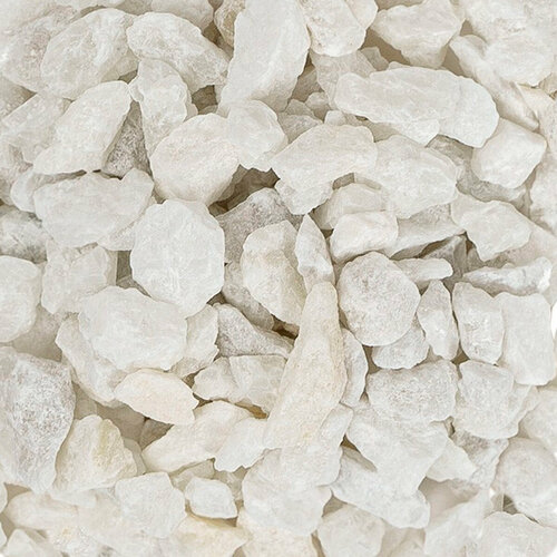 ���� ����������� ����� ��� ��������, ����������� � ��������, Zoo One, ��������� ��������, 