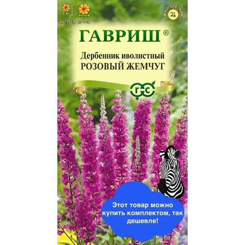 ���� ������ ������ 