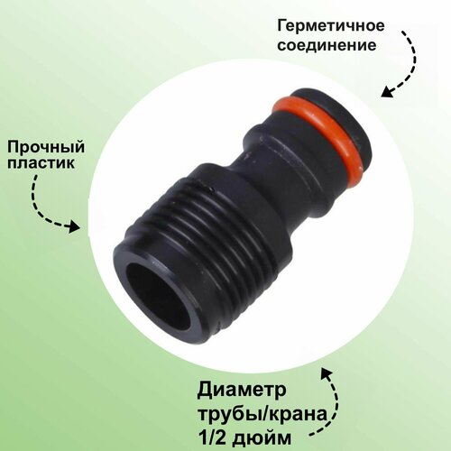 ���� ������� � ������� �������, 1/2