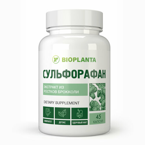 ���� �����������, ������ �� 1790 ���