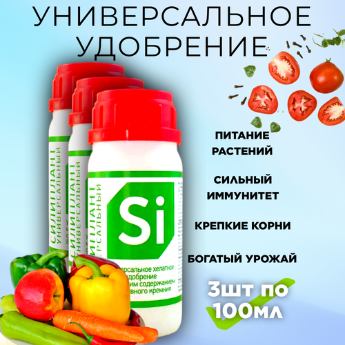 ���� ���� � ���������, 3 �� �� 100 ��, ������ �� 849 ���