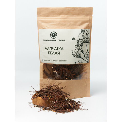 ���� �������� ����� ������ 