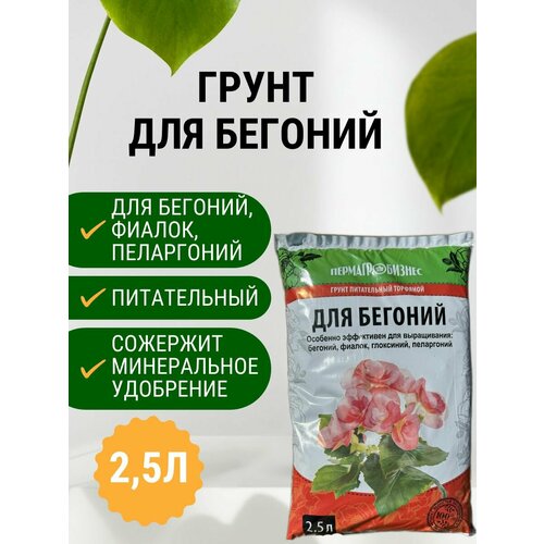 ���� ����� ��� ������� 2,5 �, ������ �� 286 ���