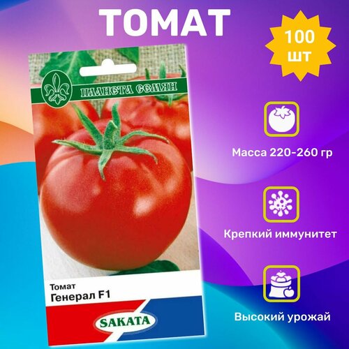 ���� ������ ������ ������� F1 100��. ���������� ��������, ������ �� 890 ���