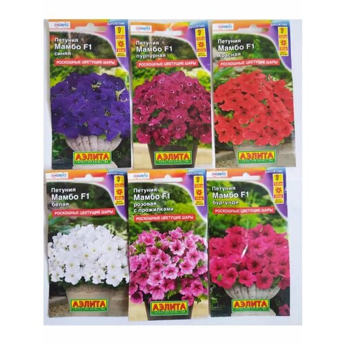 ���� ������� ����� (6 ������ �� 7 �� �����), ������ �� 394 ���