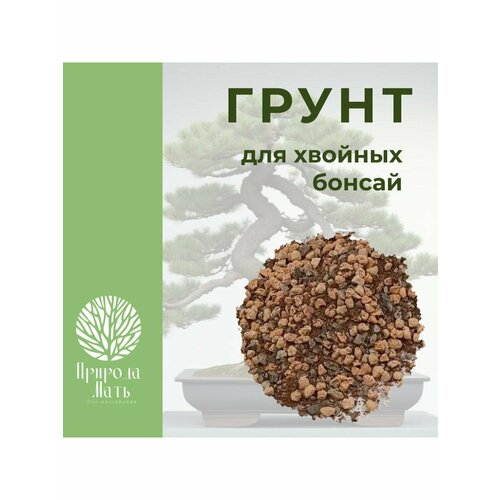 ���� ����� ��� ������� ������, ������ �� 350 ���