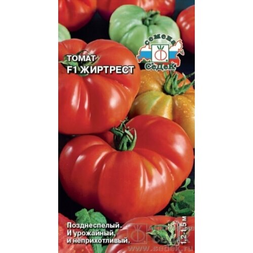 ���� ������ ����� �������� F1 0,1� ����� ������� (�����), ������ �� 48 ���