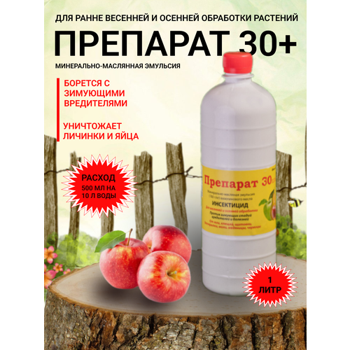 ���� �������� 