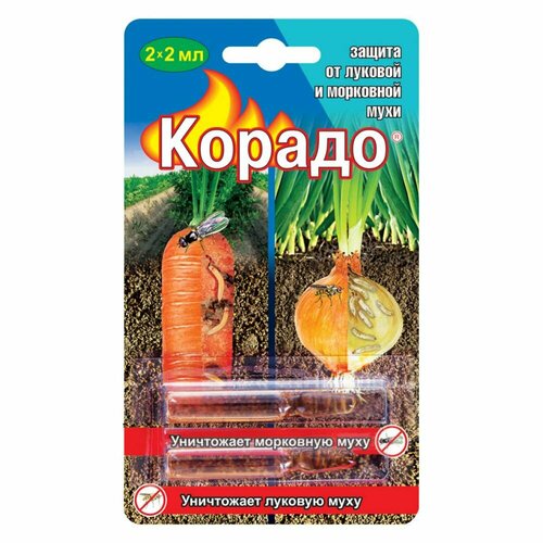 ���� ������ �� (2 ������ �� 2 ��), ������ �� 114 ���