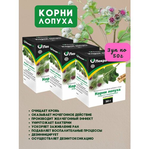 ���� �����-��� ����� ������ ������������ 3�� �� 50�, ������ �� 620 ���