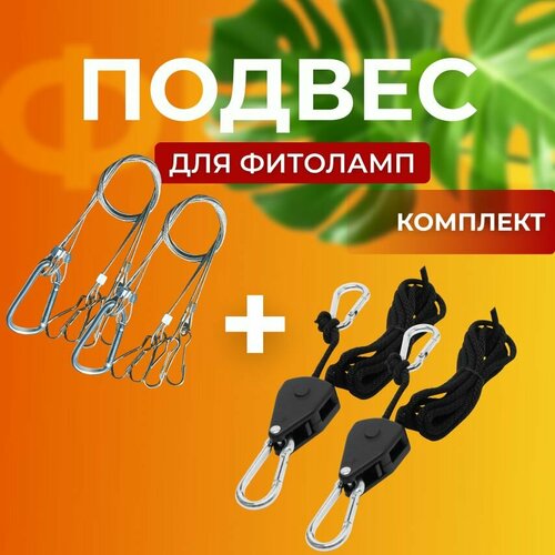 ���� ������ ��� ��������� ������������ + �������������, �������� 2 �� + 2 ��, ������ �� 1500 ���