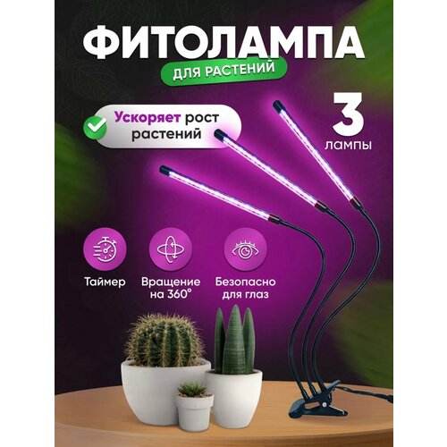 ���� ������������ ��������� - ��� ��������, ������ � �������/������/3 �����������, ������ �� 989 ���