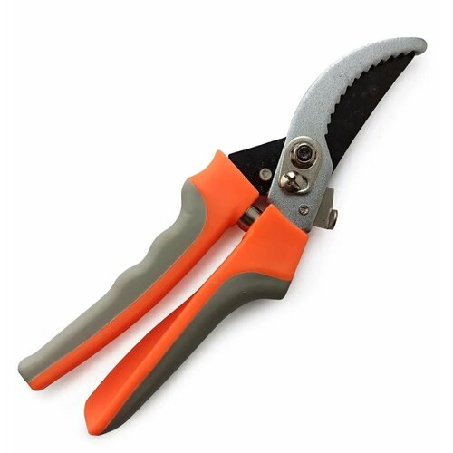 ���� ������������� ������� ��� ���� � ����. �������� �� ���������� �����. ������� ������� ��� ������� ����� � ����������� 230 ��, ������ �� 397 ���