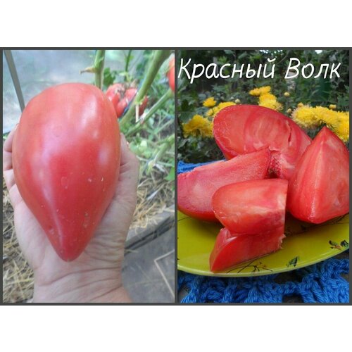 ���� ������������� ������ ������ ������� ����, ������ �� 102 ���