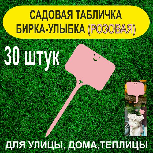 ���� ������� ����� - ������. �������� ��� ��������. 30 ���� (�������), ������ �� 300 ���