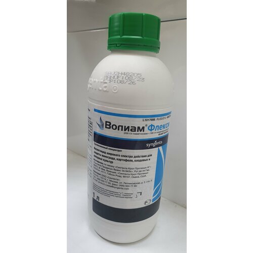 ���� ���������� ������ ������ 1�, ������ �� 12999 ���