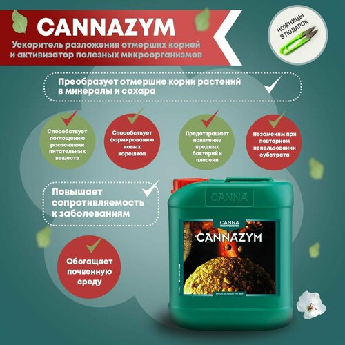 ���� ���������� Canna Cannazym, 5 �, ������ �� 13308 ���