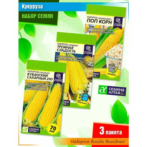 ���� ����� ����� �������� �� ������ ����� (3 �����), ������ �� 245 ���