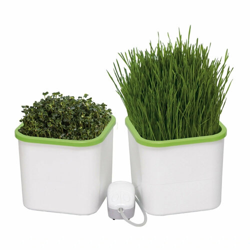 ���� ����������� ������������� �������� ���� 2-� ���������, ������ �� 3799 ���