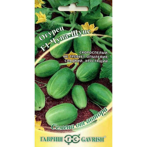 ���� ������. ������ 