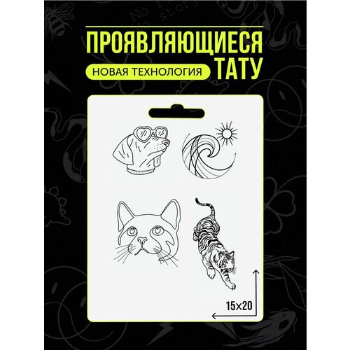 ���� ���� ���������� �������������� ��������, ������ �� 450 ���