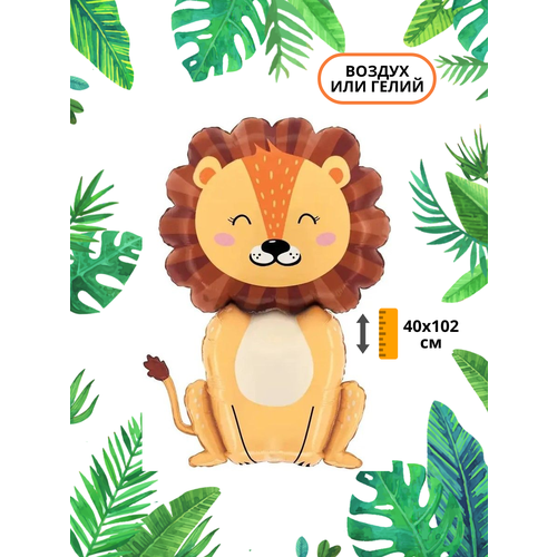 ���� ��������� ��� �������������� ������ ���, ������ �� 294 ���