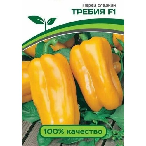 ���� ������������� ������ ����� �������� ������ F1, ������ �� 127 ���