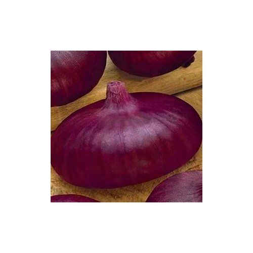 ���� ������������� ������ ���� �������� ��������� �������, ������ �� 104 ���