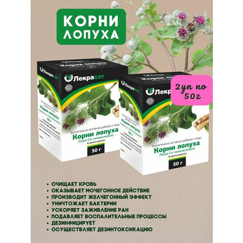 ���� �����-��� ����� ������ ������������ 2�� �� 50�, ������ �� 500 ���