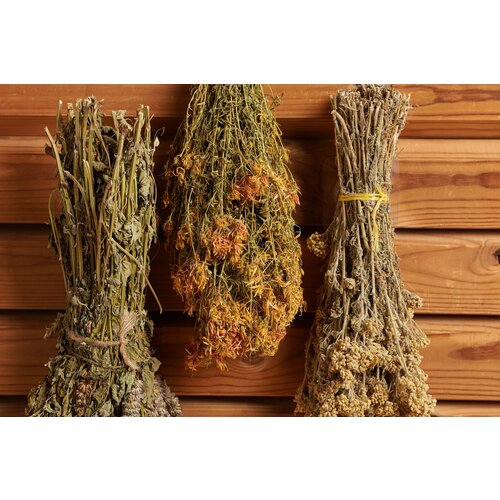 ���� ����� ��� ���� �� �������� �� ������ ����� ����, ������� ������, ������ �� 363 ���