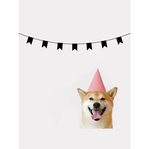 ���� �������� �������� �������� �� ���� ������ - ������, ������ �� 700 ���