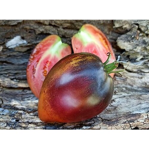 ���� ������������� ������ ������ ������� ������ ���������, ������ �� 104 ���