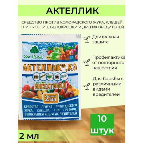 ���� �������� ������ �������� ��������, ������ �� 420 ���