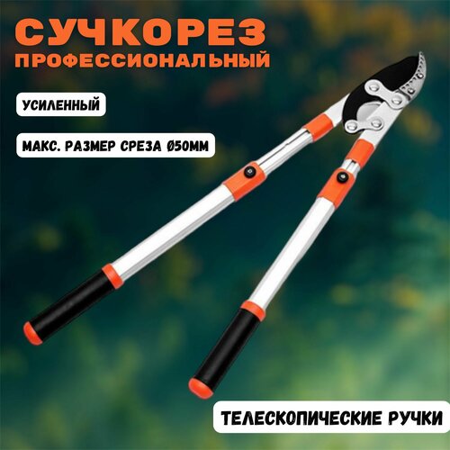 ���� �������� ������� ��������������� 680-1020 ��, ������������ ��������, ���� �� 50 ��, � ������������, ������������������ ����� SK5, ������ �� 2454 ���