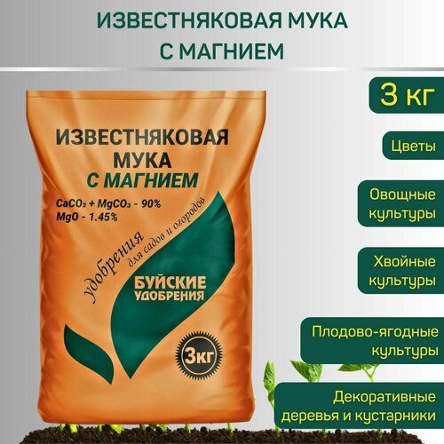 ���� ���� ������������� � �������, 3 ��, ������ �� 238 ���