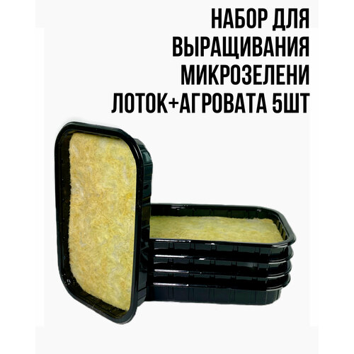 ���� ����� ��� ����������� ���������� (��������+�����) 5��, ������ �� 379 ���