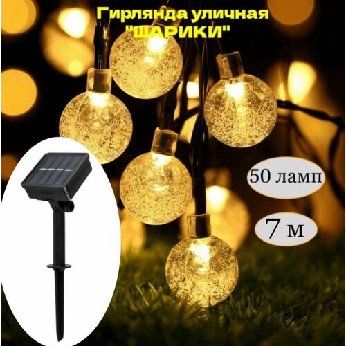 ���� ��������������� ������� 50 ���� �� ��������� �������, ������ �� 1699 ���